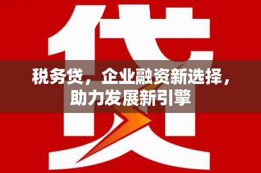 桃江税务贷，企业融资新选择，助力发展新引擎