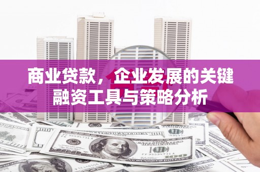 桃江商业贷款，企业发展的关键融资工具与策略分析