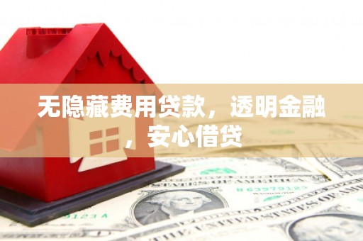 桃江无隐藏费用贷款，透明金融，安心借贷