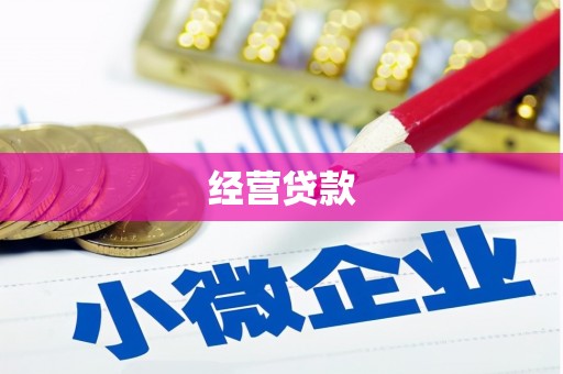 桃江经营贷款