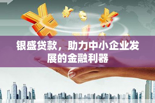 桃江银盛贷款，助力中小企业发展的金融利器