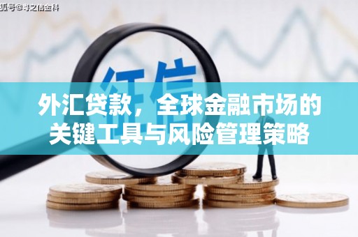桃江外汇贷款，全球金融市场的关键工具与风险管理策略