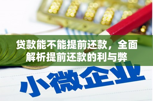 桃江贷款能不能提前还款，全面解析提前还款的利与弊