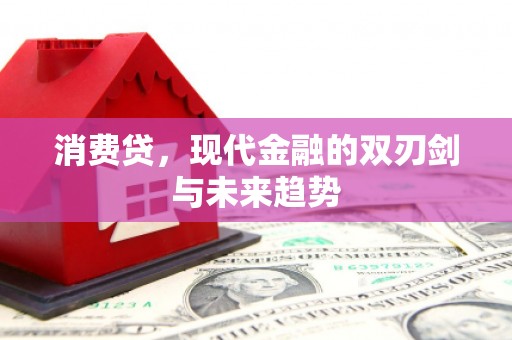 桃江消费贷，现代金融的双刃剑与未来趋势