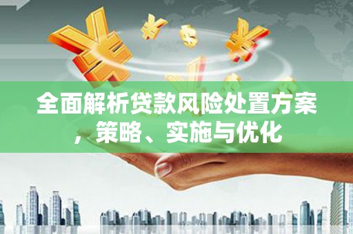 桃江全面解析贷款风险处置方案，策略、实施与优化