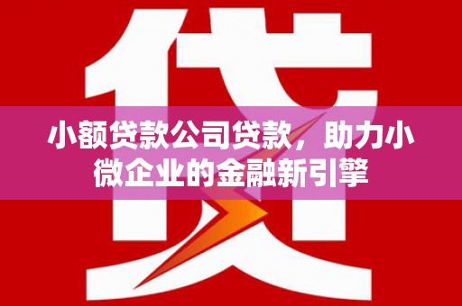桃江小额贷款公司贷款，助力小微企业的金融新引擎