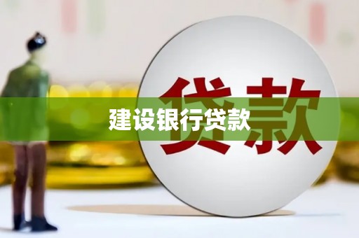 桃江建设银行贷款