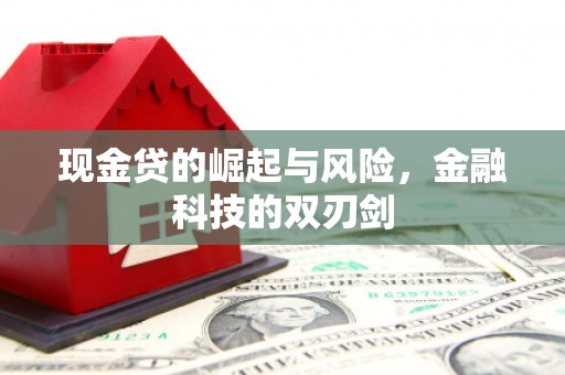 桃江现金贷的崛起与风险，金融科技的双刃剑