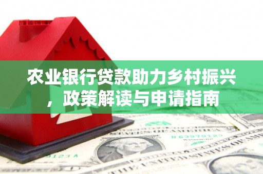 桃江农业银行贷款助力乡村振兴，政策解读与申请指南