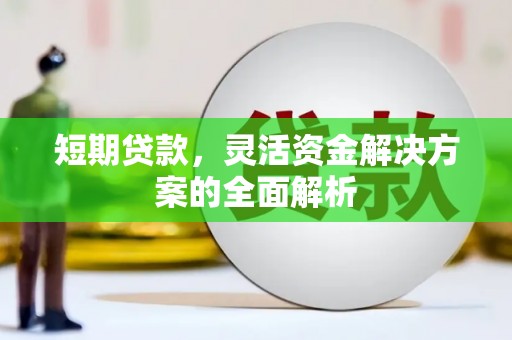 桃江短期贷款，灵活资金解决方案的全面解析