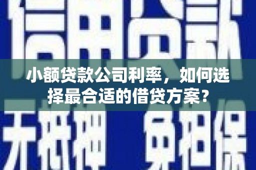 桃江小额贷款公司利率，如何选择最合适的借贷方案？