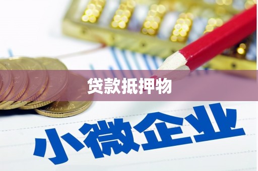 桃江贷款抵押物