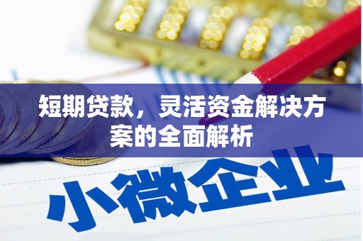 桃江短期贷款，灵活资金解决方案的全面解析