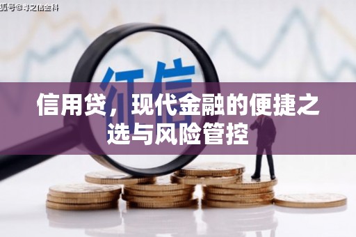 桃江信用贷，现代金融的便捷之选与风险管控
