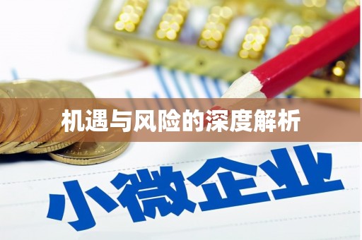 桃江机遇与风险的深度解析