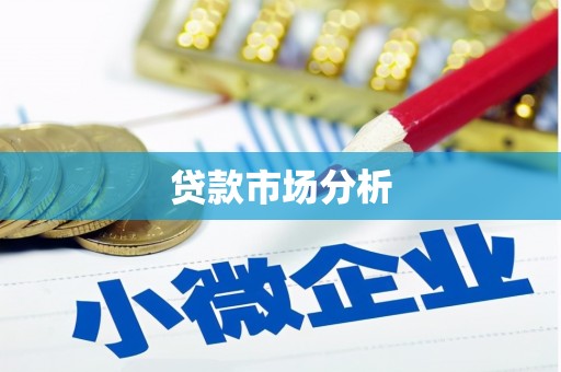 桃江贷款市场分析