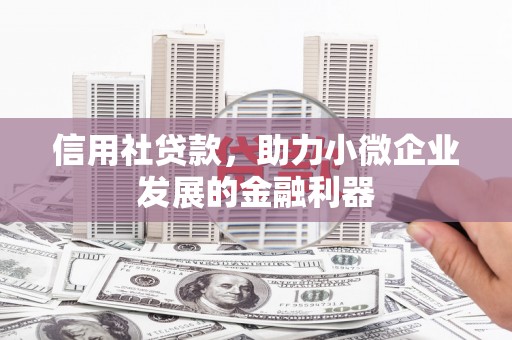 桃江信用社贷款，助力小微企业发展的金融利器