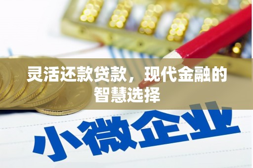 桃江灵活还款贷款，现代金融的智慧选择