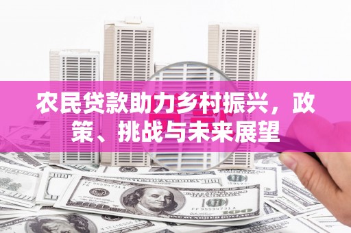 桃江农民贷款助力乡村振兴，政策、挑战与未来展望