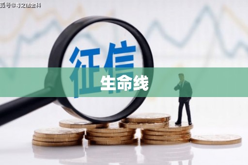 桃江生命线