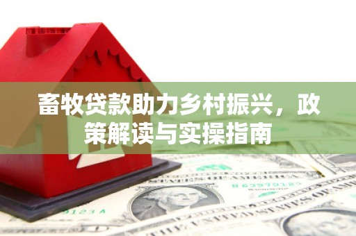 桃江畜牧贷款助力乡村振兴，政策解读与实操指南
