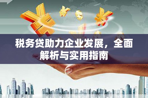 桃江税务贷助力企业发展，全面解析与实用指南