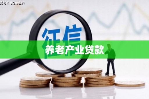 桃江养老产业贷款