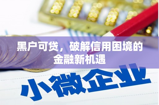 桃江黑户可贷，破解信用困境的金融新机遇
