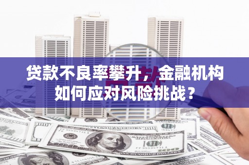 桃江贷款不良率攀升，金融机构如何应对风险挑战？