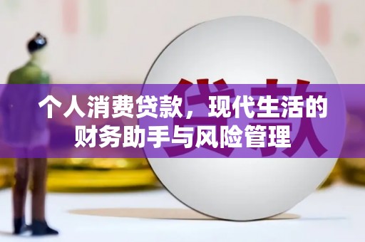 桃江个人消费贷款，现代生活的财务助手与风险管理