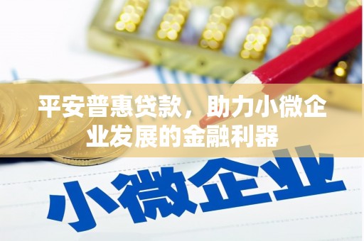 桃江平安普惠贷款，助力小微企业发展的金融利器