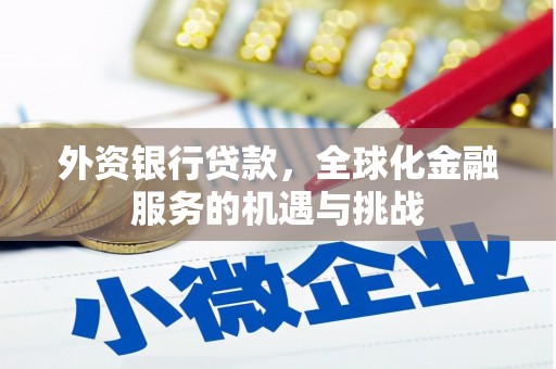 桃江外资银行贷款，全球化金融服务的机遇与挑战