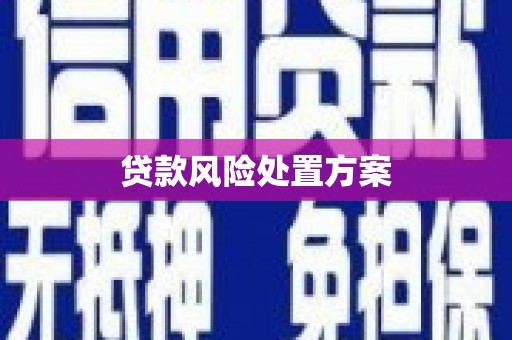 桃江贷款风险处置方案