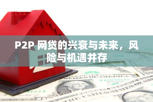 桃江P2P 网贷的兴衰与未来，风险与机遇并存