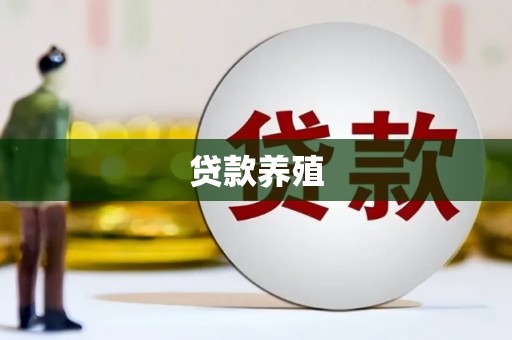 桃江贷款养殖