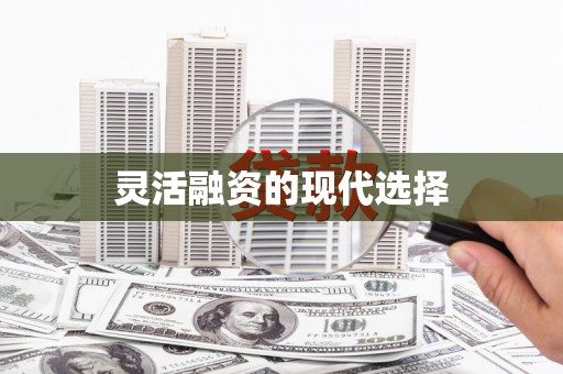 桃江灵活融资的现代选择
