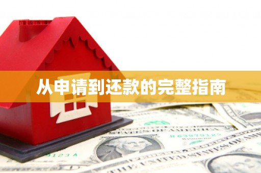 桃江从申请到还款的完整指南