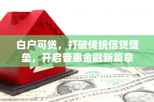 桃江白户可贷，打破传统信贷壁垒，开启普惠金融新篇章