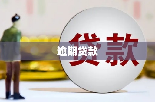 桃江逾期贷款