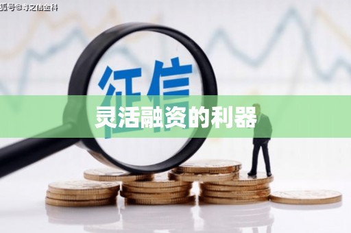 桃江灵活融资的利器