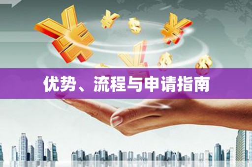 桃江优势、流程与申请指南