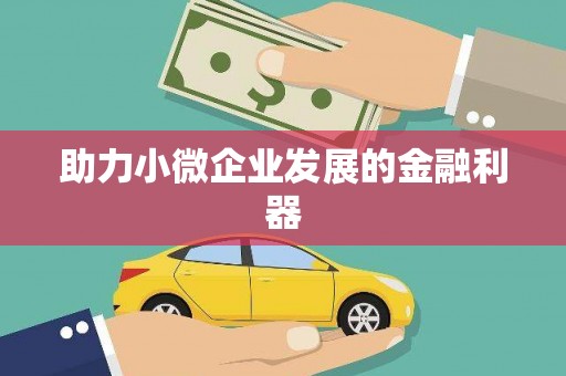 桃江助力小微企业发展的金融利器