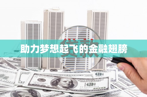 桃江助力梦想起飞的金融翅膀