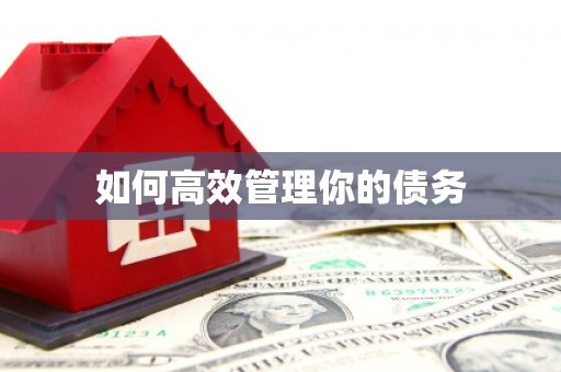 桃江如何高效管理你的债务