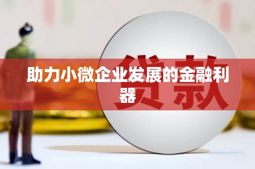 桃江助力小微企业发展的金融利器