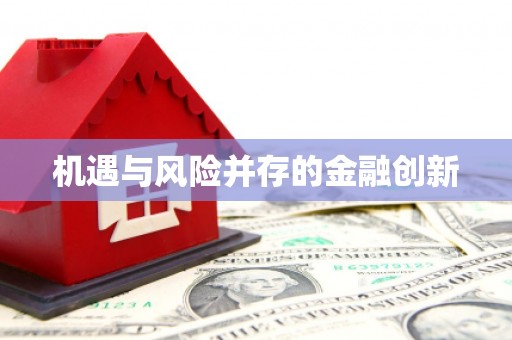 桃江机遇与风险并存的金融创新