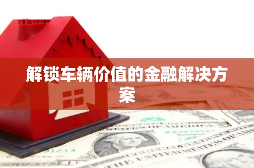 桃江解锁车辆价值的金融解决方案