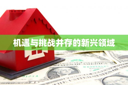 桃江机遇与挑战并存的新兴领域