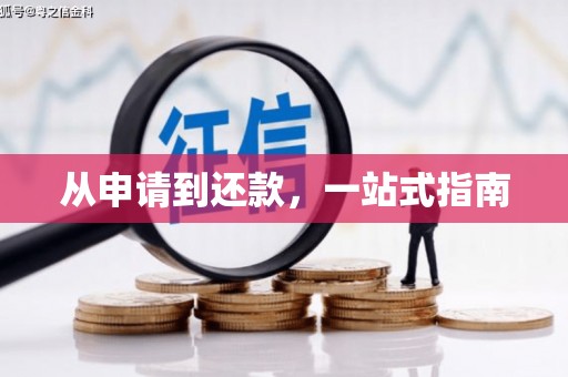 桃江从申请到还款，一站式指南