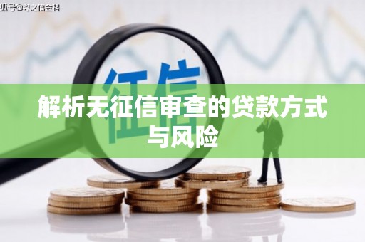 桃江解析无征信审查的贷款方式与风险